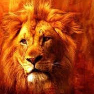 Meet your Posher, Jon